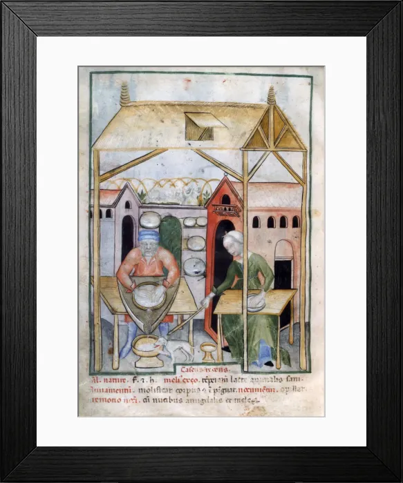 Framed Print : Cheese manufacture, 1390-1400 Framed Print : Cheese manufacture, 1390-1400