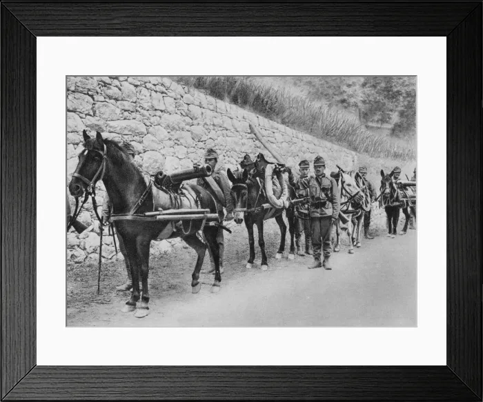 Framed Print : Austrian soldiers, Austro-Italian war, Battle of the Isonzo, World War I, 1915 Framed Print : Austrian soldiers, Austro-Italian war, Battle of the Isonzo, World War I, 1915