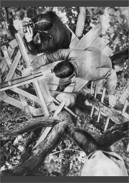 Observation post in a tree, Woevre, France, World War I, c1914