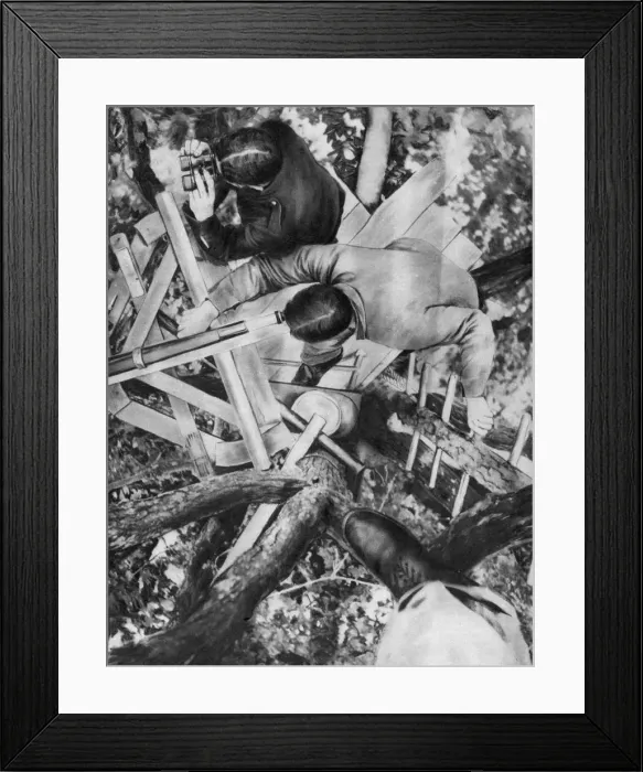 Framed Print : Observation post in a tree, Woevre, France, World War I, c1914 Framed Print : Observation post in a tree, Woevre, France, World War I, c1914