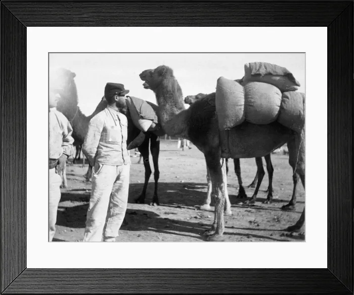 Framed Print : The French Foreign Legion on manoeuvres, Boudenib, Morocco, 1911 Framed Print : The French Foreign Legion on manoeuvres, Boudenib, Morocco, 1911