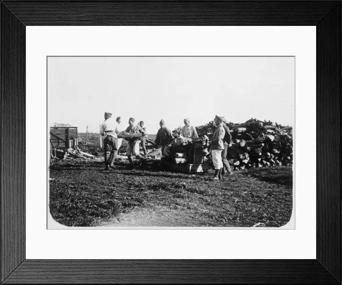 Framed Print : Soldiers of the French Foreign Legion stacking logs, Syria, 20th century Framed Print : Soldiers of the French Foreign Legion stacking logs, Syria, 20th century