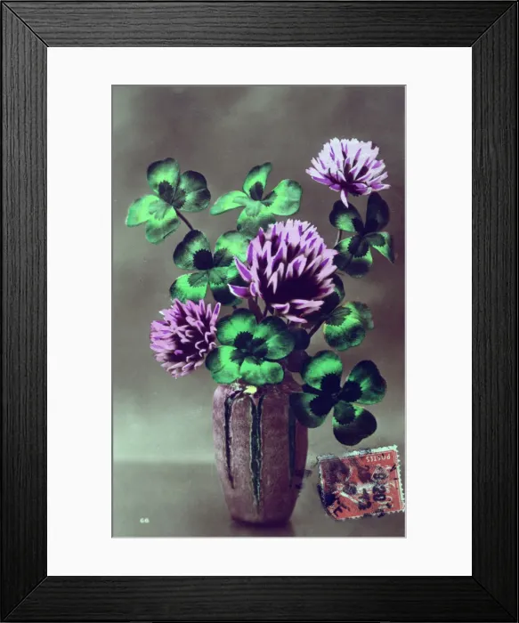 Framed Print : French flower postcard, c1900 Framed Print : French flower postcard, c1900