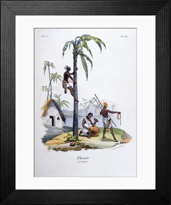 Framed Print : Chanar, 1828. Artist: Jean Henri Marlet