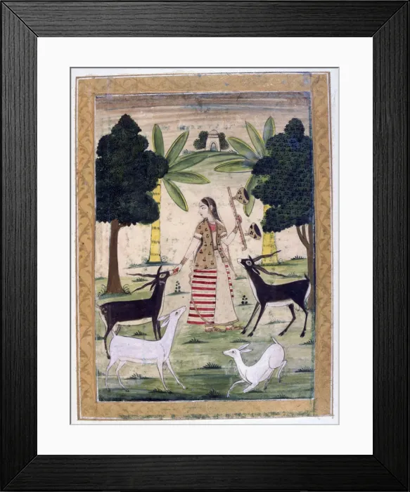 Framed Print : Todi Ragini, Ragamala Album, School of Rajasthan, 19th century Framed Print : Todi Ragini, Ragamala Album, School of Rajasthan, 19th century