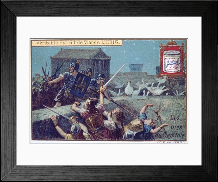 Framed Print : The Geese of the Capital, Liebig continental trade card, c1900