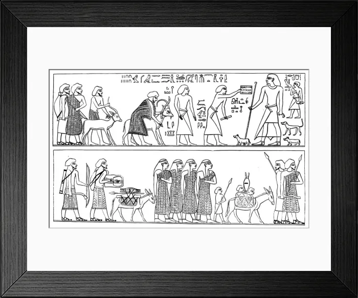 Framed Print : Immigration Semite in the Nomist of Mall, 1881 Framed Print : Immigration Semite in the Nomist of Mall, 1881