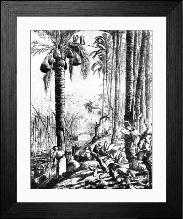 Framed Print : Edges of the Channel, Mahmoudiyeh, 1880. Artist: Wilhelm Gentz Framed Print : Edges of the Channel, Mahmoudiyeh, 1880. Artist: Wilhelm Gentz