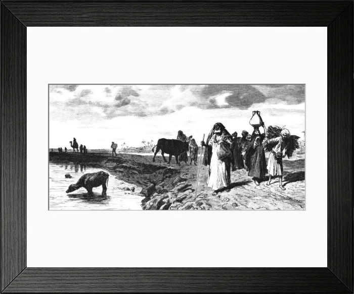 Framed Print : A Chaussee in the Delta, at the time of the flood, 1880. Artist: R Brandamour Framed Print : A Chaussee in the Delta, at the time of the flood, 1880. Artist: R Brandamour