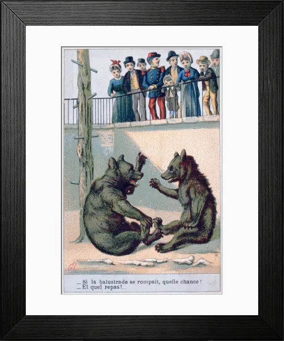Framed Print : French zoological postcard, 19th century Framed Print : French zoological postcard, 19th century