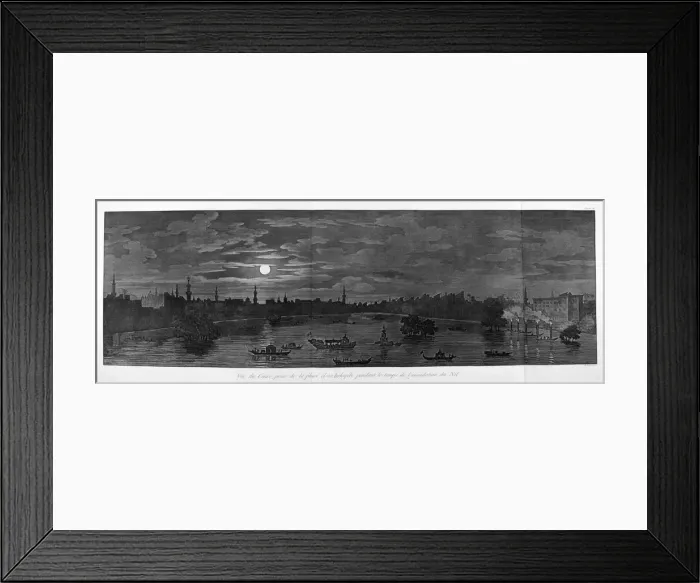 Framed Print : A View of Cairo, During the Flood, c1808. Artist: Baltard Framed Print : A View of Cairo, During the Flood, c1808. Artist: Baltard