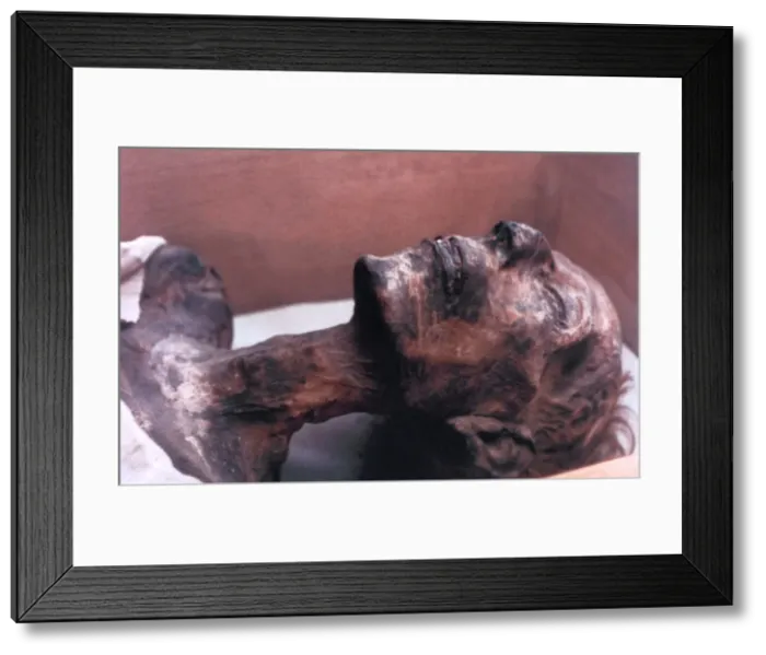 Framed Print : The Mummy of Rameses II, Egypt, 1213 BC Framed Print : The Mummy of Rameses II, Egypt, 1213 BC