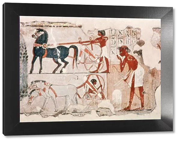 Fragment of Ancient Egyptian painted plaster depicting the account of the harvest, c1400 BC