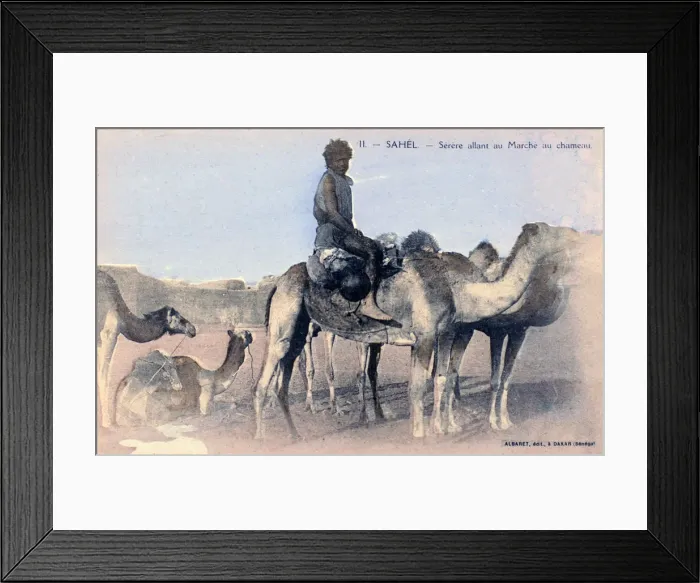 Framed Print : Serere, the Sahel, Senegal, 20th century. Artist: Albaret Framed Print : Serere, the Sahel, Senegal, 20th century. Artist: Albaret