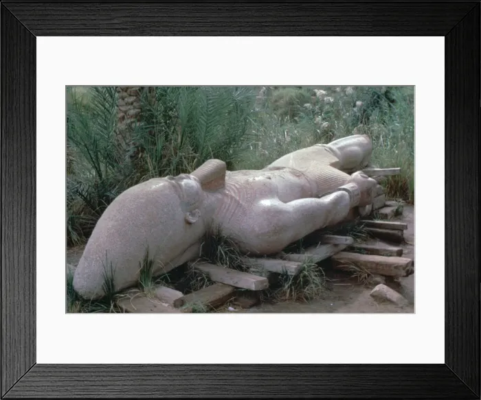 Framed Print : Colossal statue of Rameses I in situ, Memphis, Egypt, 13th century BC Framed Print : Colossal statue of Rameses I in situ, Memphis, Egypt, 13th century BC