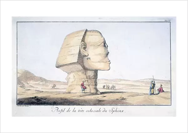 Great Sphinx Head in Profile, 18th century. Artist: Tuscher Hafniae
