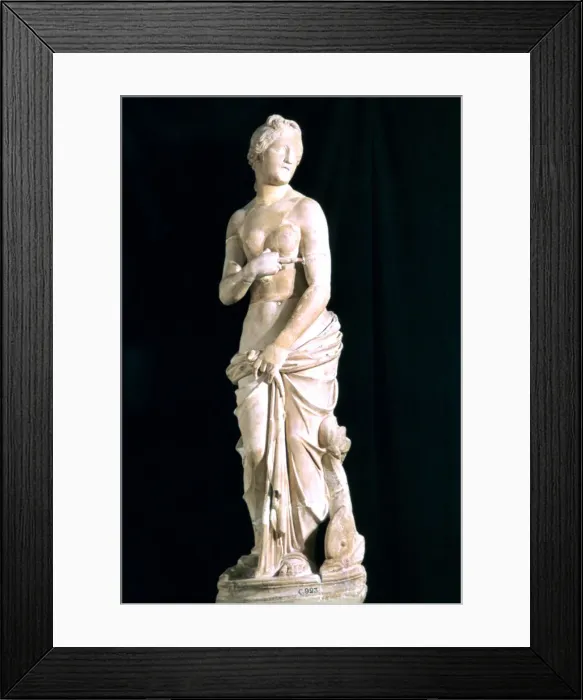 Framed Print : Statue of the chaste Venus, from Carthage Framed Print : Statue of the chaste Venus, from Carthage
