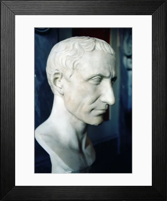 Framed Print : Head of Julius Caesar Framed Print : Head of Julius Caesar