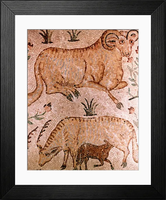 Framed Print : Roman mosaic of a ram, a cow and calf, 4th century AD Framed Print : Roman mosaic of a ram, a cow and calf, 4th century AD