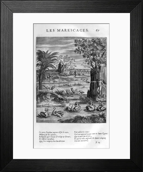 Framed Print : Marsh, 1615. Artist: Leonard Gaultier Framed Print : Marsh, 1615. Artist: Leonard Gaultier