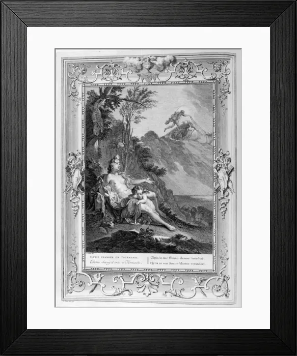 Framed Print : Clytia Turned into a Turnesole, 1733. Artist: Bernard Picart Framed Print : Clytia Turned into a Turnesole, 1733. Artist: Bernard Picart