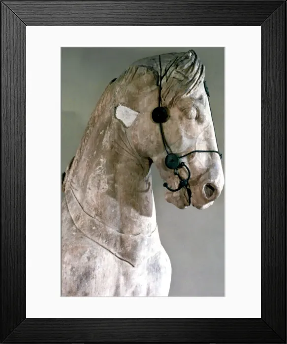 Framed Print : Horse, Quadriga of the Mausoleum at Halikarnassos, 350 BC Framed Print : Horse, Quadriga of the Mausoleum at Halikarnassos, 350 BC