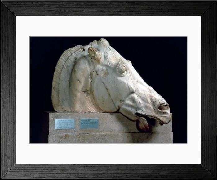 Framed Print : Head of a horse from the Chariot of Selene from the east pediment of the Parthenon, 447-432 BC Framed Print : Head of a horse from the Chariot of Selene from the east pediment of the Parthenon, 447-432 BC