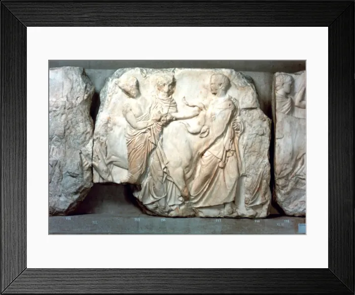 Framed Print : Heifers led to sacrifice, from the south frieze of the Parthenon, 447-432 BC Framed Print : Heifers led to sacrifice, from the south frieze of the Parthenon, 447-432 BC
