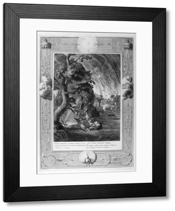 Framed Print : Tantalus torment, 1733. Artist: Bernard Picart Framed Print : Tantalus torment, 1733. Artist: Bernard Picart