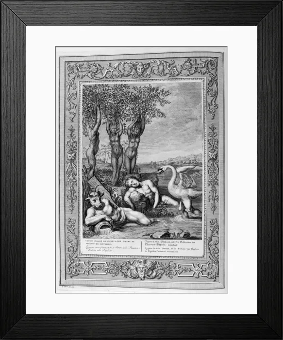 Framed Print : Cygnus transformed into a swan and Phaetons sisters into poplars, 1733. Artist: Bernard Picart Framed Print : Cygnus transformed into a swan and Phaetons sisters into poplars, 1733. Artist: Bernard Picart