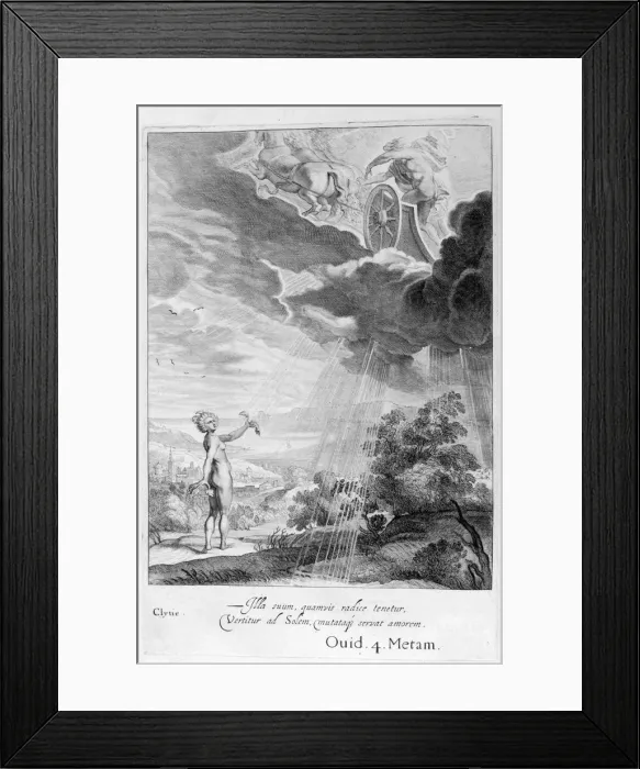 Framed Print : Clytie transformed into a sunflower, 1655. Artist: Michel de Marolles Framed Print : Clytie transformed into a sunflower, 1655. Artist: Michel de Marolles