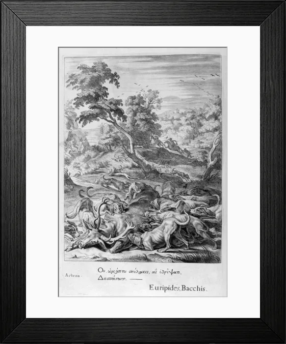Framed Print : Actaeon turned into a stag and devoured by his hounds, 1655. Artist: Michel de Marolles Framed Print : Actaeon turned into a stag and devoured by his hounds, 1655. Artist: Michel de Marolles