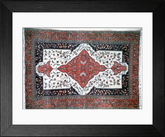 Framed Print : Sarouk rug, Persia Framed Print : Sarouk rug, Persia