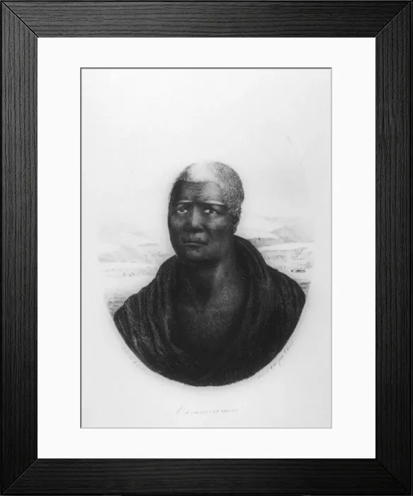 Framed Print : Kamehameha I, Hawaii, 1816 Artist: Ludwig Choris Framed Print : Kamehameha I, Hawaii, 1816 Artist: Ludwig Choris