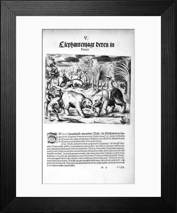 Framed Print : Elephants Fighting, 1606. Artist: Theodore de Bry Framed Print : Elephants Fighting, 1606. Artist: Theodore de Bry