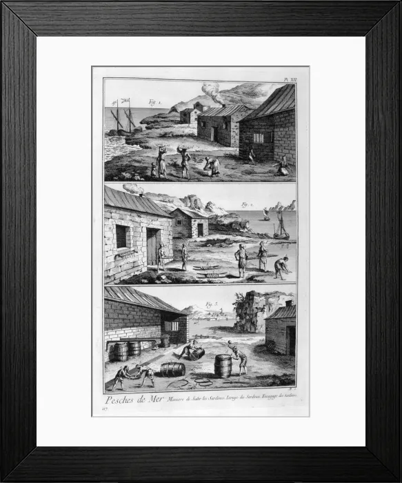 Framed Print : Salting, washing, packing sardines, 1751-1777 Framed Print : Salting, washing, packing sardines, 1751-1777