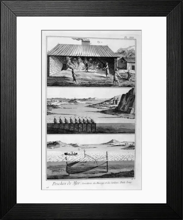 Framed Print : Sea fishing, herring and sardines, 1751-1777 Framed Print : Sea fishing, herring and sardines, 1751-1777