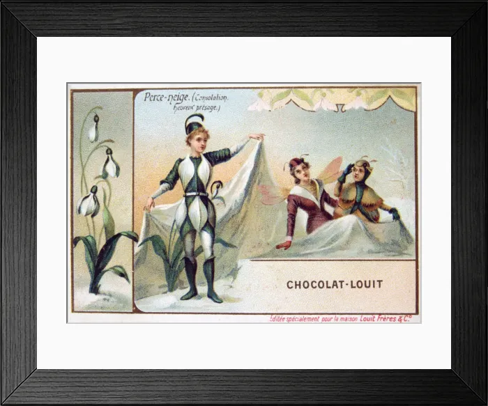 Framed Print : The language of Flowers, Snow drop, c1900 Framed Print : The language of Flowers, Snow drop, c1900