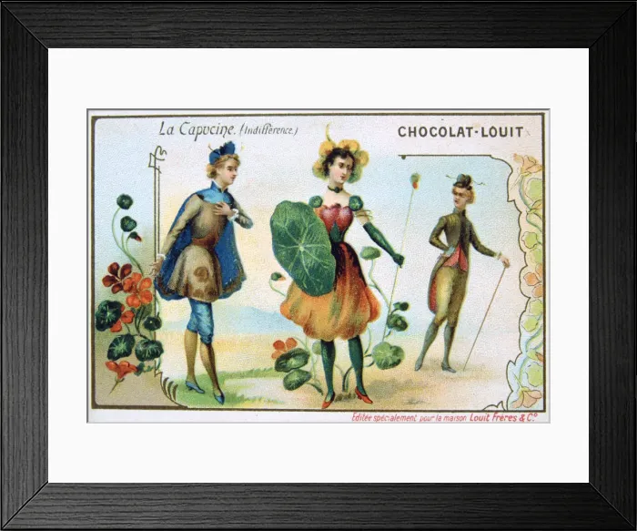 Framed Print : The Language of Flowers, Nasturtium, Indifference, c1900 Framed Print : The Language of Flowers, Nasturtium, Indifference, c1900
