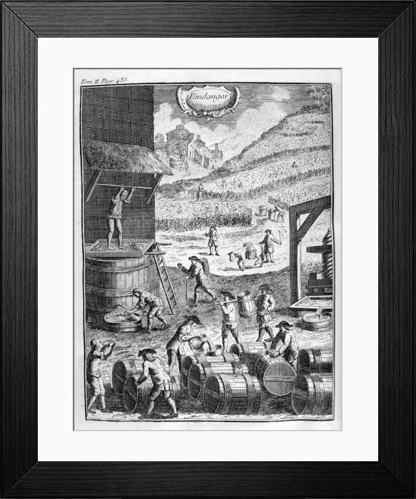Framed Print : Grape harvest, 1775 Framed Print : Grape harvest, 1775