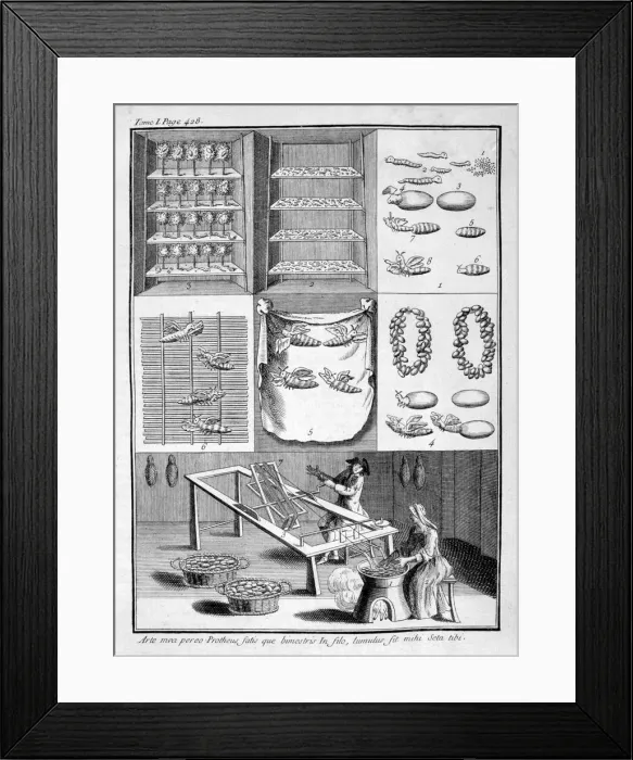 Framed Print : The breeding of silk worms, 1775 Framed Print : The breeding of silk worms, 1775