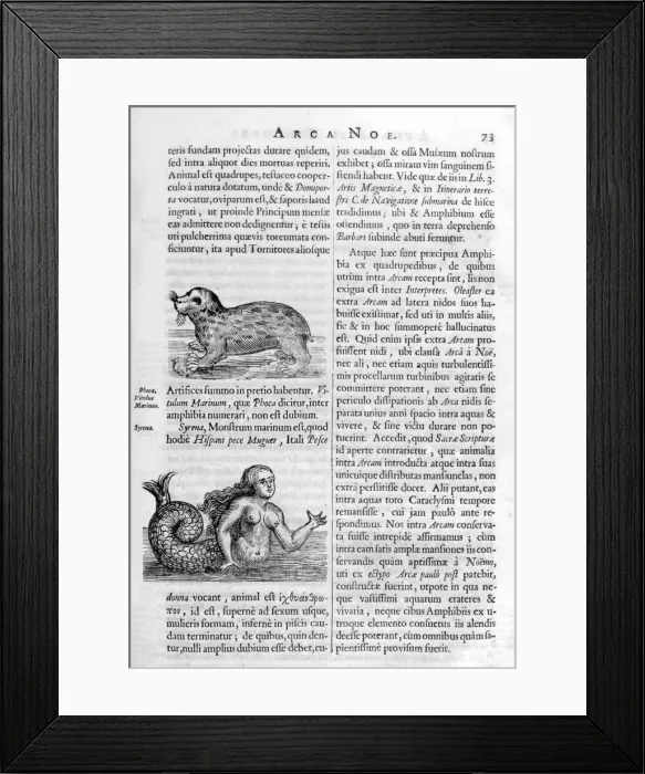 Framed Print : Mythical creatures, 1675. Artist: Athanasius Kircher Framed Print : Mythical creatures, 1675. Artist: Athanasius Kircher