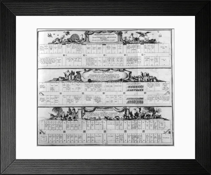 Framed Print : Table of the species, 1765. Artist: Athanasius Kircher Framed Print : Table of the species, 1765. Artist: Athanasius Kircher