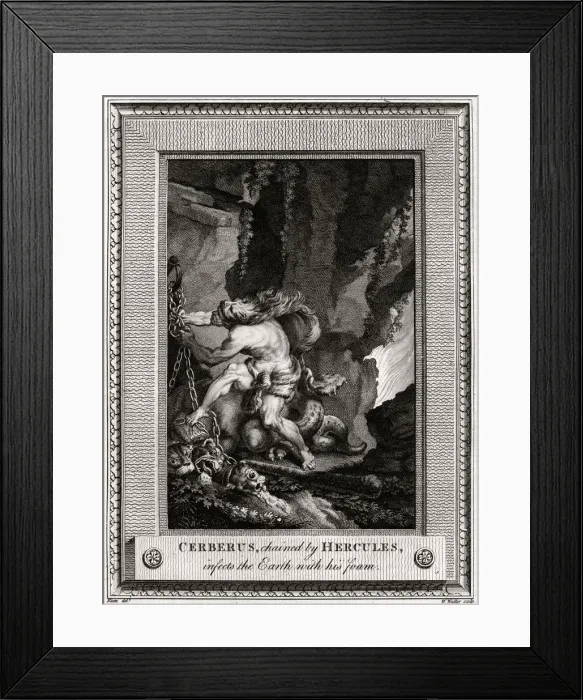 Framed Print : Cerberus, chained by Hercules, infects the Earth with his foam, 1774. Artist: W Walker Framed Print : Cerberus, chained by Hercules, infects the Earth with his foam, 1774. Artist: W Walker
