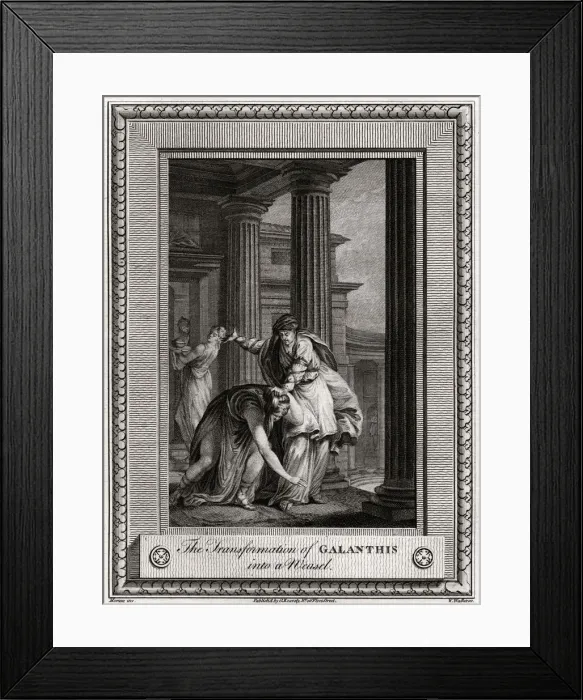 Framed Print : The Transformation of Galanthis into a Weasel, 1777. Artist: W Walker Framed Print : The Transformation of Galanthis into a Weasel, 1777. Artist: W Walker