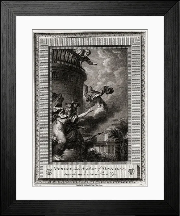 Framed Print : Perdix, the Nephew of Daedalus, transformed into a Partridge, 1774. Artist: W Walker Framed Print : Perdix, the Nephew of Daedalus, transformed into a Partridge, 1774. Artist: W Walker
