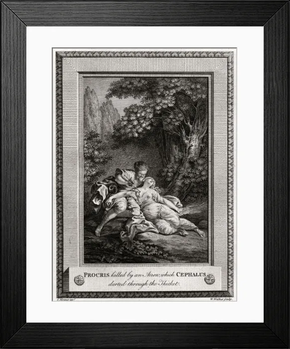Framed Print : Procris Killed by an arrow which Cephalus darted through the thicket, 1775. Artist: W Walker Framed Print : Procris Killed by an arrow which Cephalus darted through the thicket, 1775. Artist: W Walker