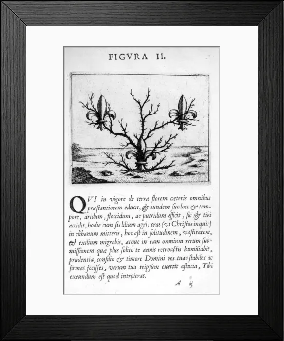Framed Print : Prophecy figure II from Prognosticatio Eximii Doctoris Paracelsi, 1536. Artist: Theophrastus Bombastus von Hohenheim Paracelsus Framed Print : Prophecy figure II from Prognosticatio Eximii Doctoris Paracelsi, 1536. Artist: Theophrastus Bombastus von Hohenheim Paracelsus
