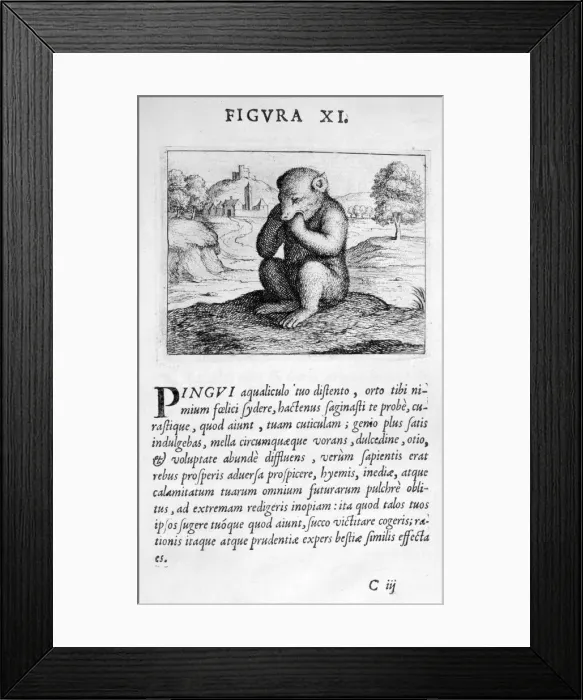 Framed Print : Prophecy figure XI from Prognosticatio Eximii Doctoris Paracelsi, 1536. Artist: Theophrastus Bombastus von Hohenheim Paracelsus Framed Print : Prophecy figure XI from Prognosticatio Eximii Doctoris Paracelsi, 1536. Artist: Theophrastus Bombastus von Hohenheim Paracelsus