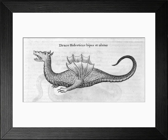 Framed Print : Dragon, 1678. Artist: Athanasius Kircher Framed Print : Dragon, 1678. Artist: Athanasius Kircher